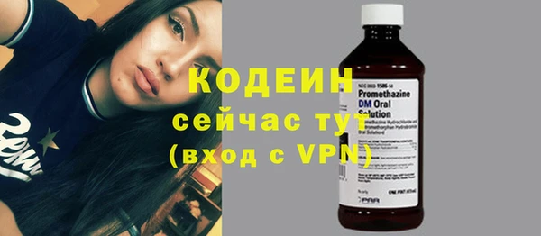 дживик Заводоуковск