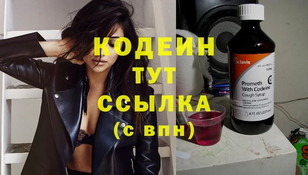 дживик Заводоуковск