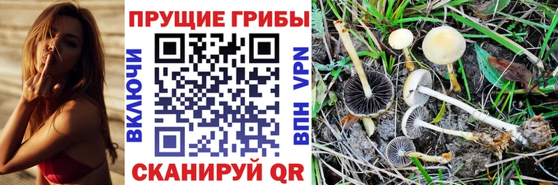 Галлюциногенные грибы GOLDEN TEACHER  Калачинск 